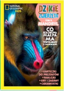 Dzikie Zwierzęta 11 Mandryl