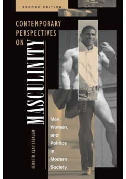 Contemporary Perspectives On Masculinity
