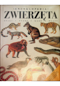 Encyklopedia zwierzęta Ssaki ptaki gady płazy