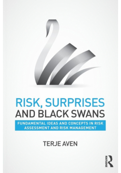 Risk, Surprises and Black Swans