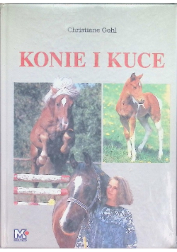 Konie i kuce