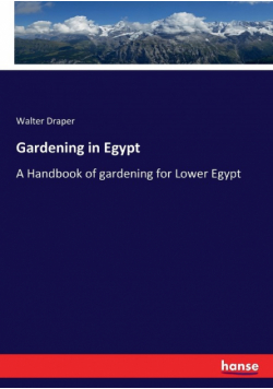 Gardening in Egypt