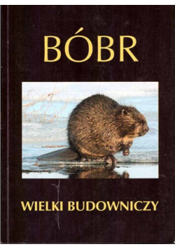 Bóbr wielki budowniczy