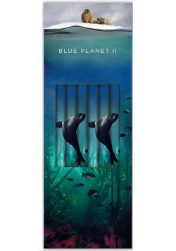Ołówek ozdobny Sea Lion 6 sztuk
