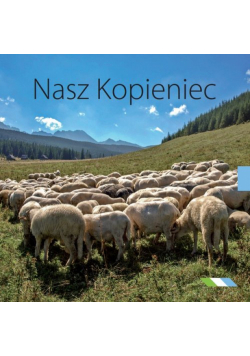 Nasz Kopieniec
