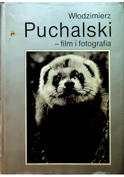 Filmy i fotografia