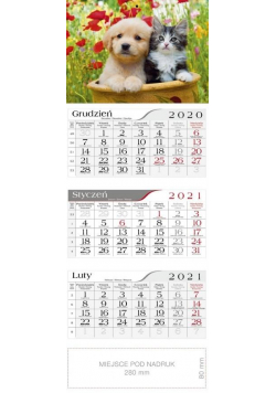 Kalendarz 2021 Trójdzielny Przyjaciele CRUX