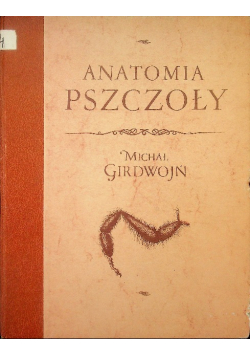 Anatomia Pszczoły
