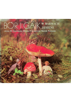 Bór i gaik w barwach jesieni