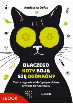 Dlaczego koty boją się ogórków?