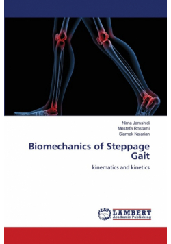 Biomechanics of Steppage Gait