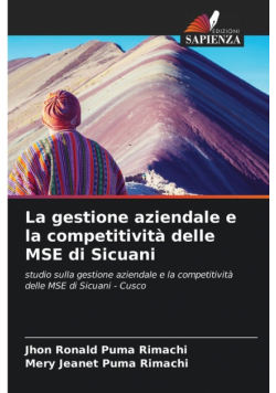La gestione aziendale e la competitività delle MSE di Sicuani