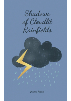 Shadows of Cloudlit Rainfields