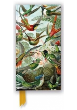 Notatnik linia TW Kolibry Ernst Haeckel