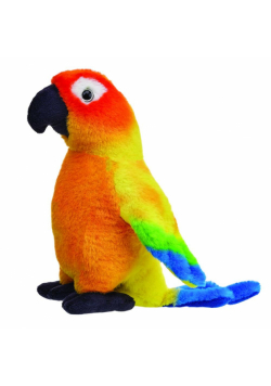 Konura słoneczna 20cm