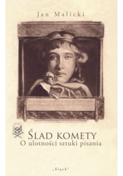 Ślad komety. O ulotności sztuki pisania