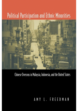 Political Participation and Ethnic Minorities