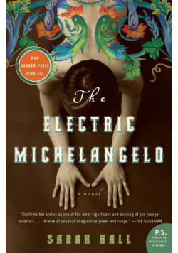 The Electric Michelangelo