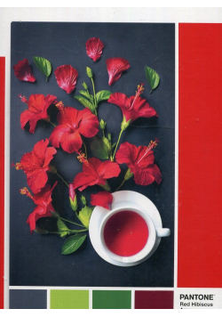 Puzzle 1000 Pantone Red Hibiscus Aroma