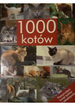 1000 kotów