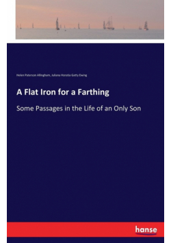 A Flat Iron for a Farthing