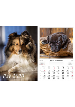 Kalendarz 2020 Psy 13 planszowy RADWAN