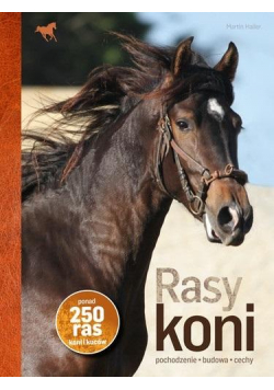 Rasy koni