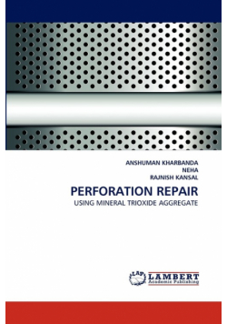 Perforation Repair