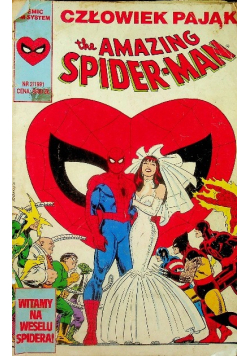 The Amazing Spider Man Nr 2 / 1991