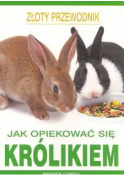 Jak opiekować się królikiem
