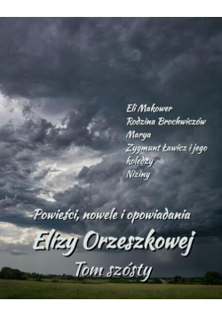 Powieści, nowele i opowiadania Elizy Orzeszkowej. Tom VI