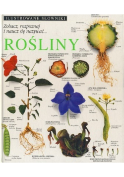Rośliny Ilustrowany słownik