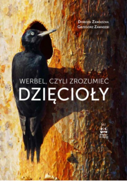 Werbel, czyli zrozumieć dzięcioły