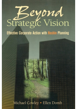 Beyond Strategic Vision