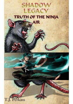 Truth of the Ninja - Air