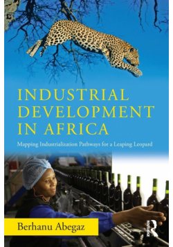 Industrial Development in Africa