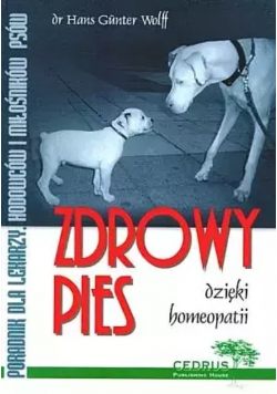 Zdrowy pies dzięki homeopatii