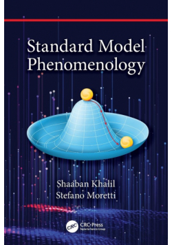 Standard Model Phenomenology