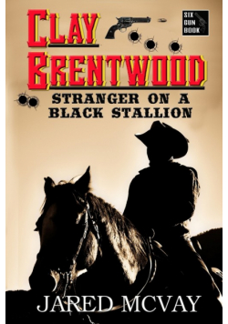 Stranger on a Black Stallion