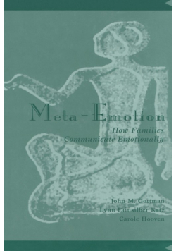Meta-Emotion