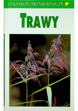 Trawy
