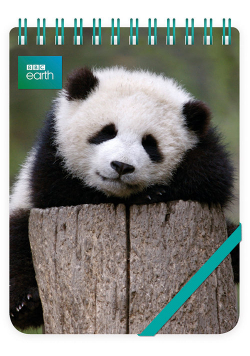 Kołonotes ozdobny Giant Panda Baby
