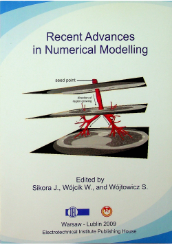 Recent Advances in numerical modeling