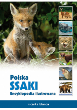 Polska Ssaki Encyklopedia ilustrowana