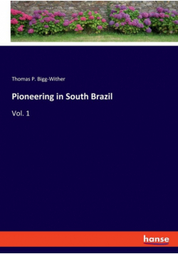 Pioneering in South Brazil
