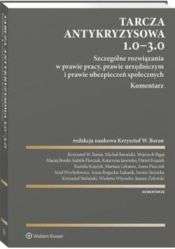 Tarcza antykryzysowa 1.0 - 3.0.