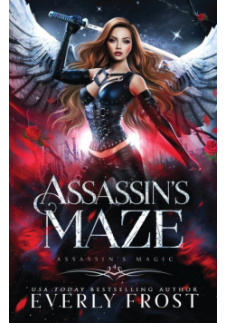 Assassin's Maze