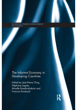 The Informal Economy in Developing Countries