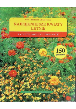 Najpiękniejsze kwiaty letnie