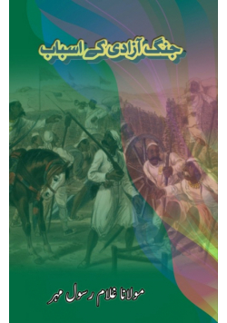 Jange Azadi Ke Asbab